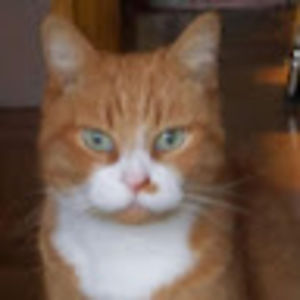 Meet your Posher, Paula